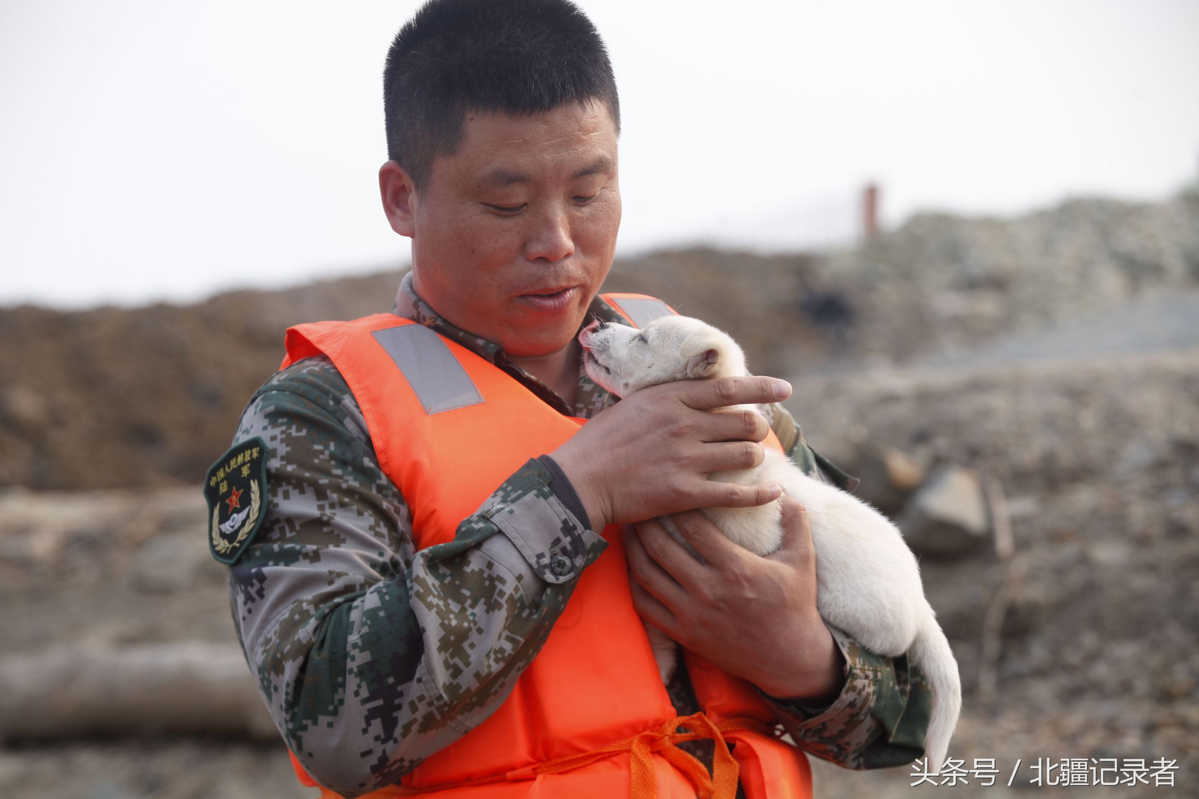 雷速-蓬莱雪豹队鏖战瓯越暴熊队，篮球公开赛守住胜果，替补奇兵立功。临场应变见真章的简单介绍