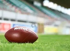 雷速-橄榄球大师赛焦点战：祁连天狼队读秒扳平瓯越白虎队，客场强势带走胜利。宿敌对话再升级(欧洲橄榄球冠军赛俄罗斯对战德国)